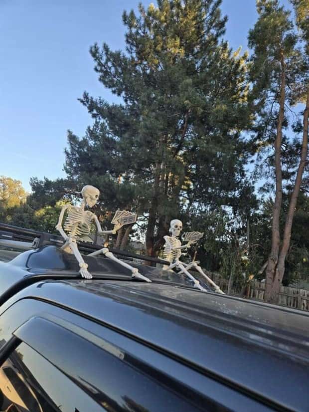 Klyker Picdump #1568 (43 photos)