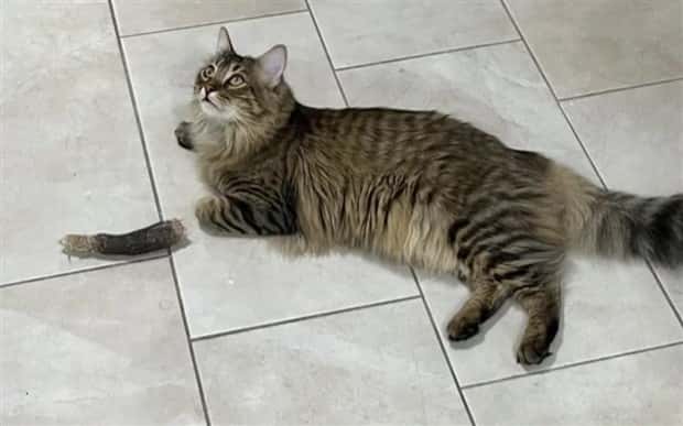 look twice 1 Look Twice, Trust Me #22 (25 photos)