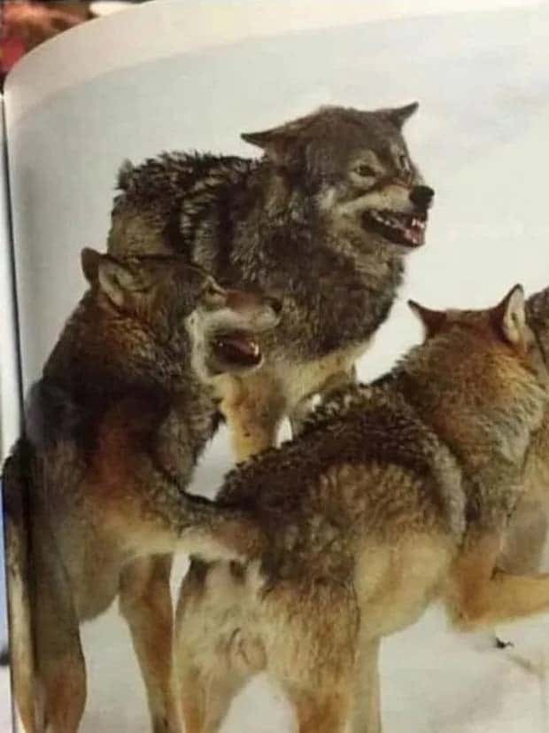 look twice 10 Look Twice, Trust Me #22 (25 photos)