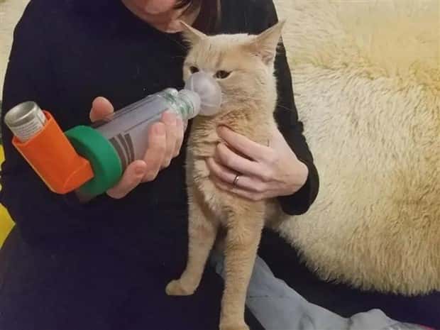 look twice 16 Look Twice, Trust Me #22 (25 photos)