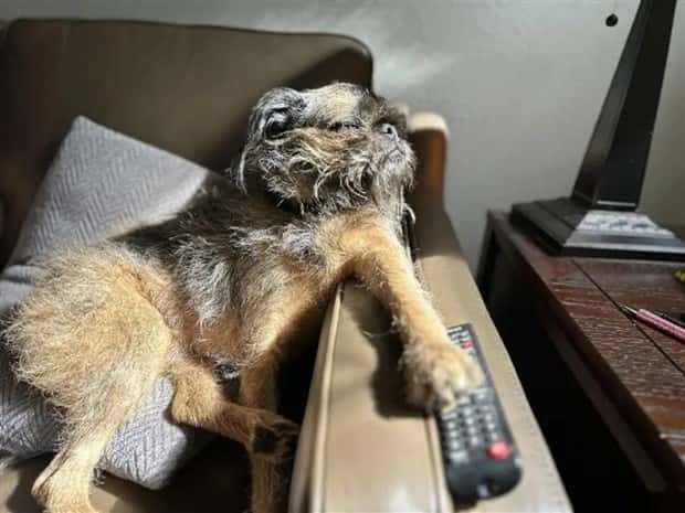 look twice 18 Look Twice, Trust Me #22 (25 photos)