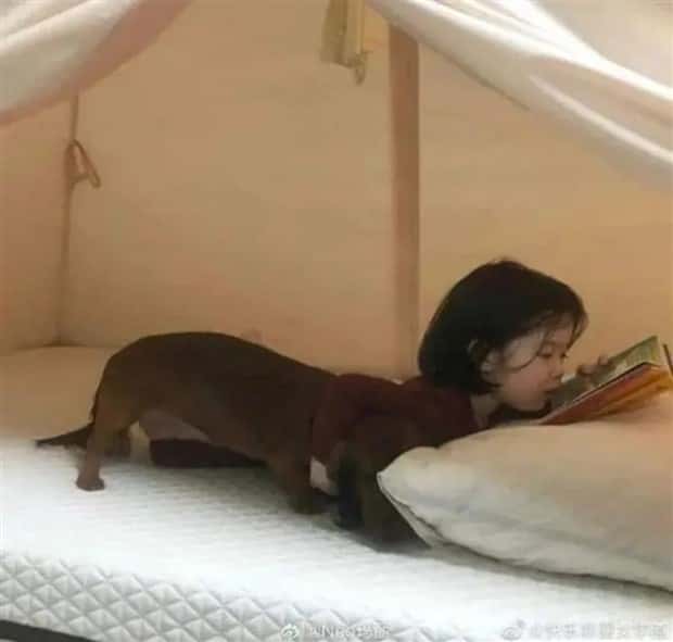 look twice 19 Look Twice, Trust Me #22 (25 photos)