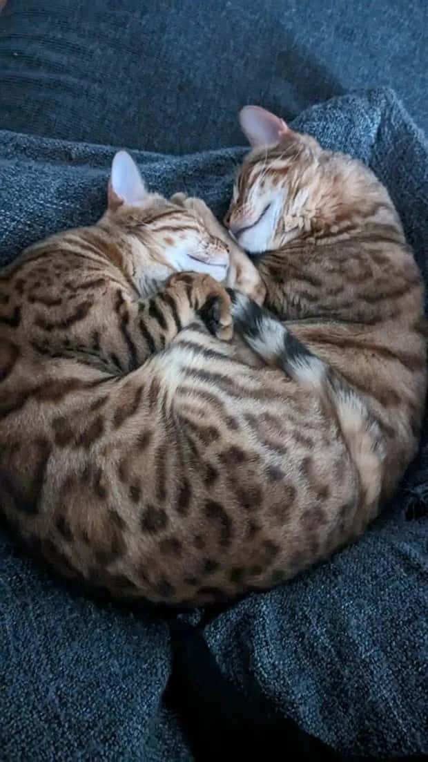 look twice 6 Look Twice, Trust Me #22 (25 photos)