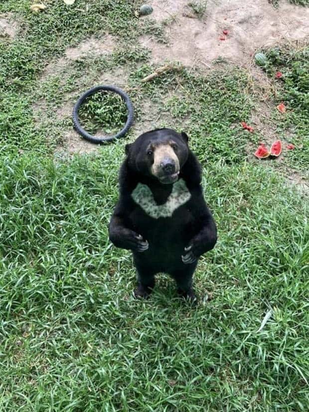 look twice 7 Look Twice, Trust Me #22 (25 photos)