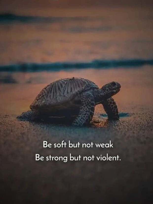 motivational quotes 16 2 Motivational Quotes, Because It’s Monday #124 (21 photos)