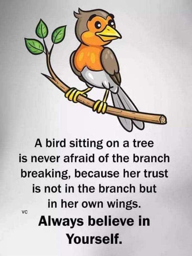 Motivational Quotes, Because It’s Monday #123 (25 photos)