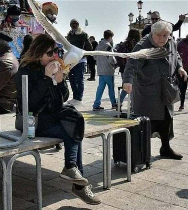 Perfectly Timed Photos #21