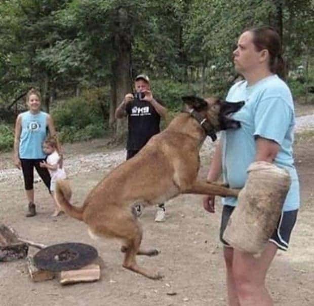 Perfectly Timed Photos #21