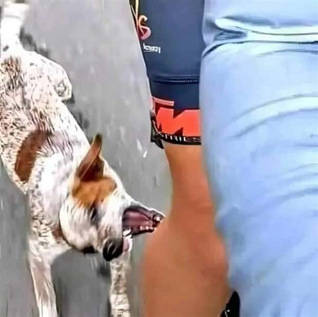 Perfectly Timed Photos #21