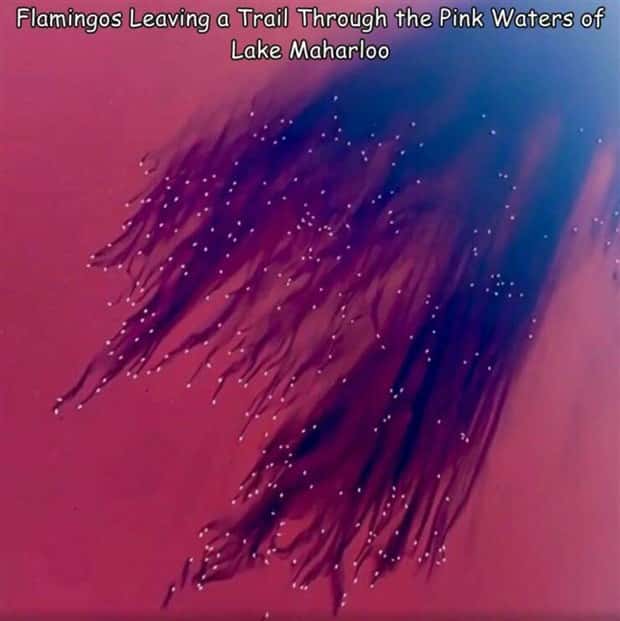 Interesting Pictures with Captions #124 (25 photos)