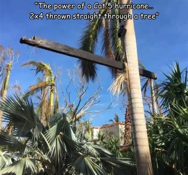 Interesting Pictures with Captions #124 (25 photos)