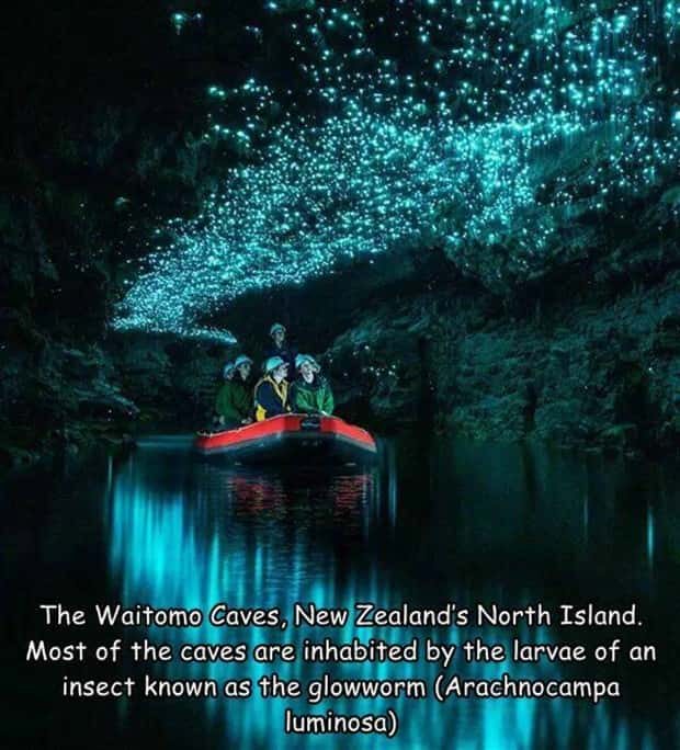 Interesting Pictures with Captions #124 (25 photos)