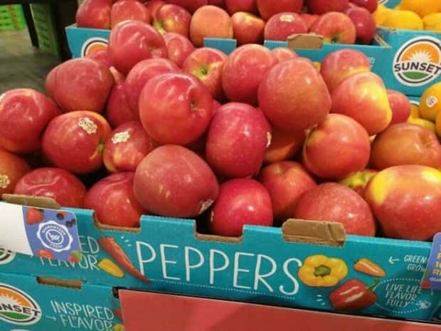 The Rules Mean Nothing to Them (29 photos)