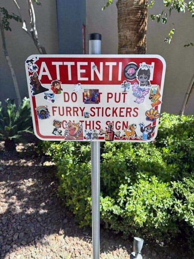 The Rules Mean Nothing to Them (29 photos)