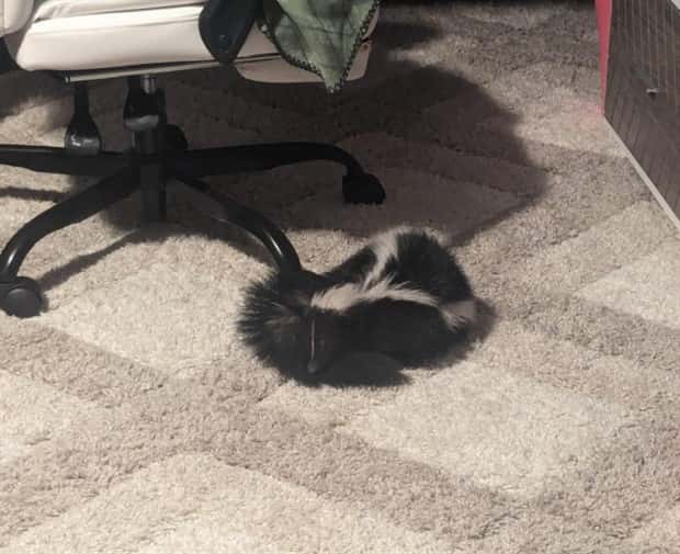 Shit Happens Regularly, Get Used To It #298 (25 photos)