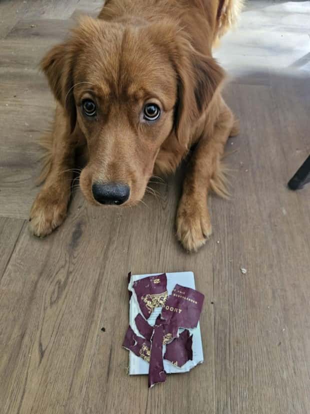 Shit Happens Regularly, Get Used To It #298 (25 photos)