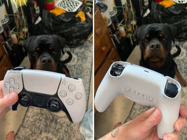 Shit Happens Regularly, Get Used To It #298 (25 photos)