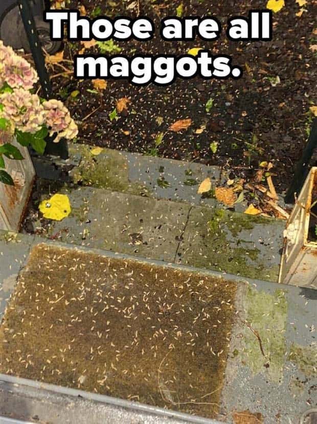 Shit Happens Regularly, Get Used To It #299 (24 photos)