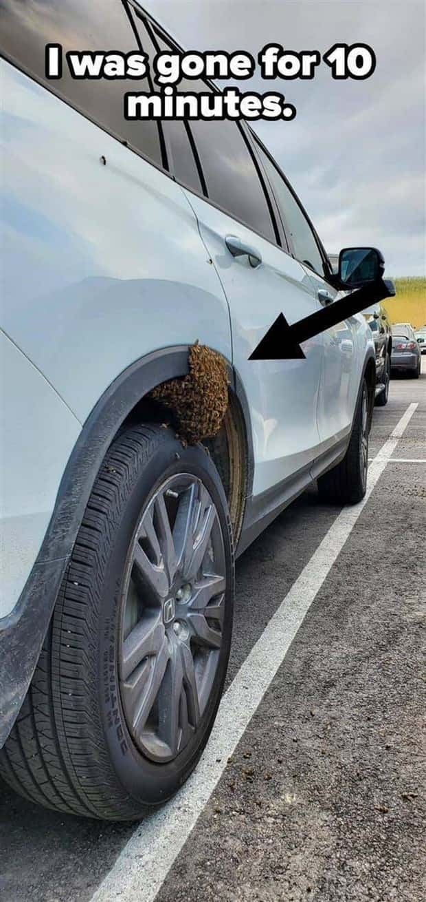 Shit Happens Regularly, Get Used To It #297 (22 photos)