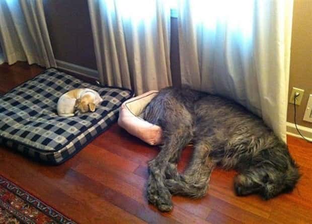 Shit Happens Regularly, Get Used To It #297 (22 photos)