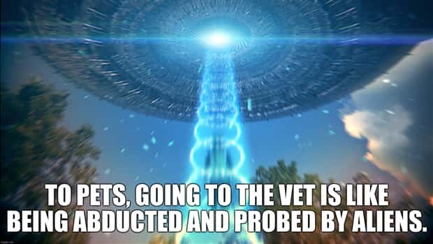 Funny Shower Thoughts #123 (21 photos)