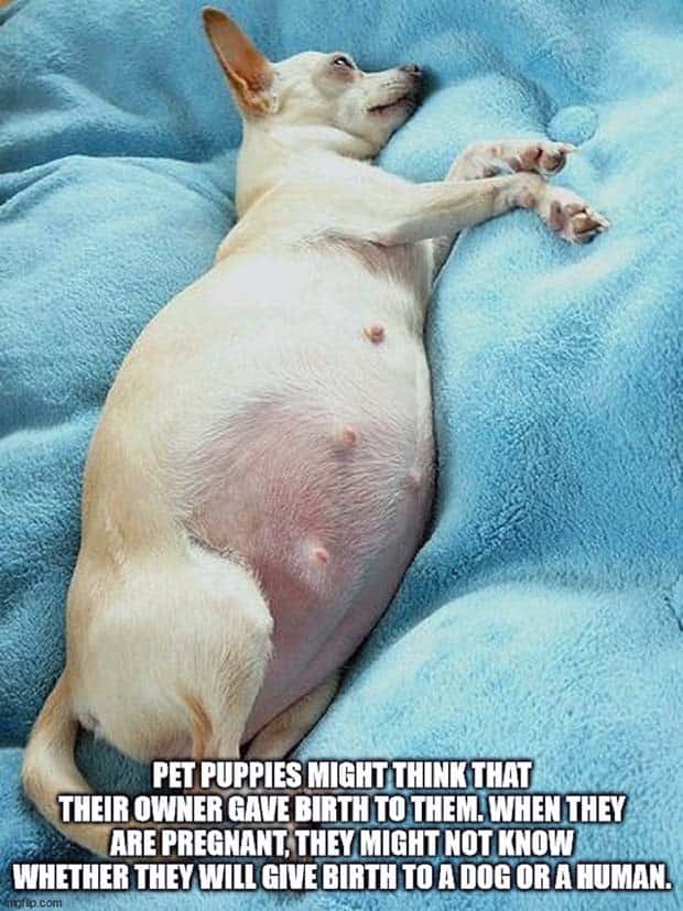 Funny Shower Thoughts #123 (21 photos)