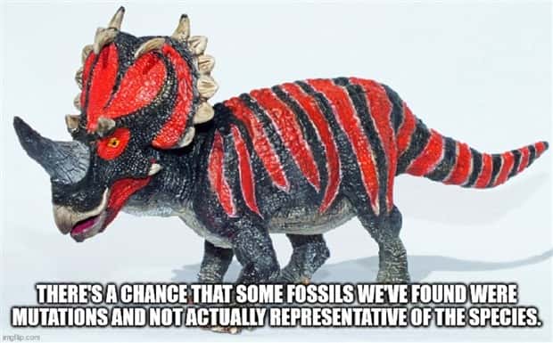 Funny Shower Thoughts #123 (21 photos)