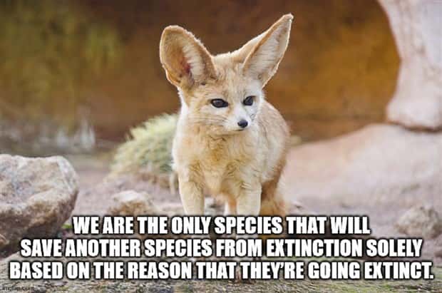 Funny Shower Thoughts #123 (21 photos)