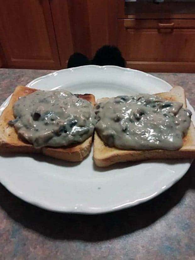 terrible meals 15 Terrible Meals Guaranteed to Spoil Your Hunger (25 photos)