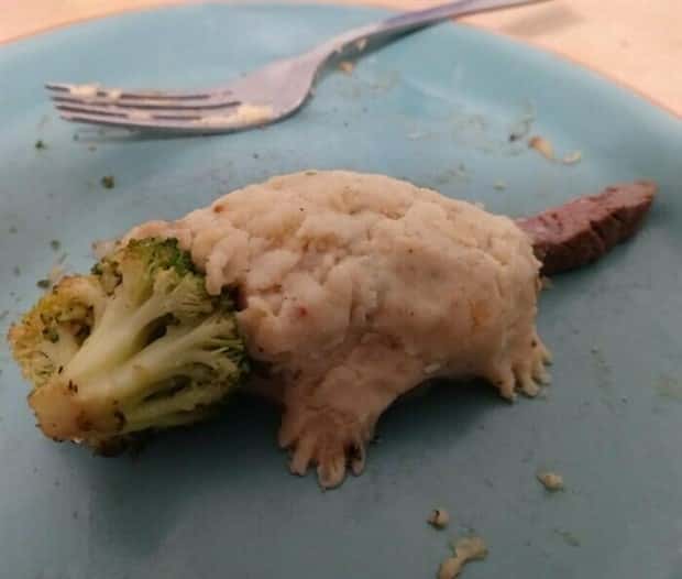 terrible meals 20 Terrible Meals Guaranteed to Spoil Your Hunger (25 photos)