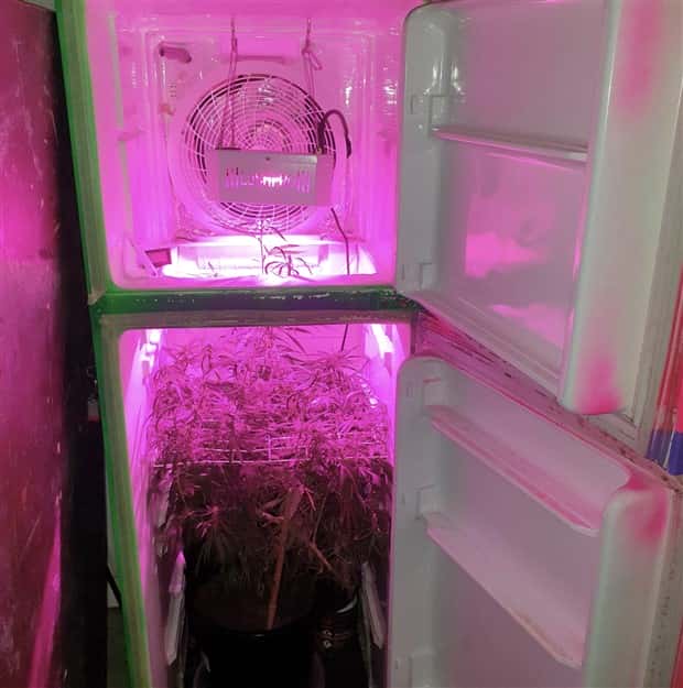 Weird Things Stashed in the Fridge (25 photos)