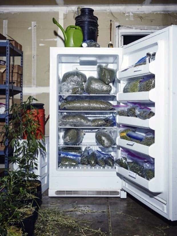 Weird Things Stashed in the Fridge (25 photos)