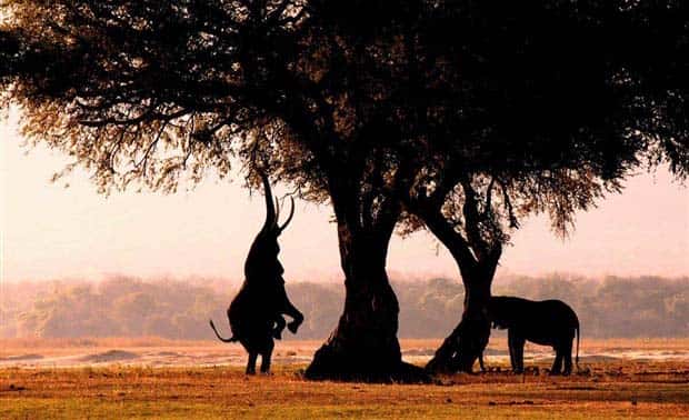 awesome pictures 13 1 Awesome Pictures You Shouldn’t Miss #126 (26 photos)