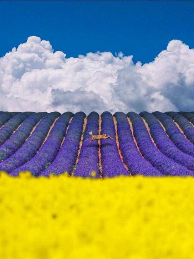 awesome pictures 18 3 Awesome Pictures You Shouldn’t Miss #128 (25 photos)