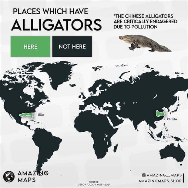 Charts and Maps with Intriguing Data #131 (21 photos)