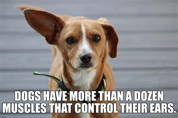 It’s Time for Some Cool and Interesting Facts #403 (24 photos)