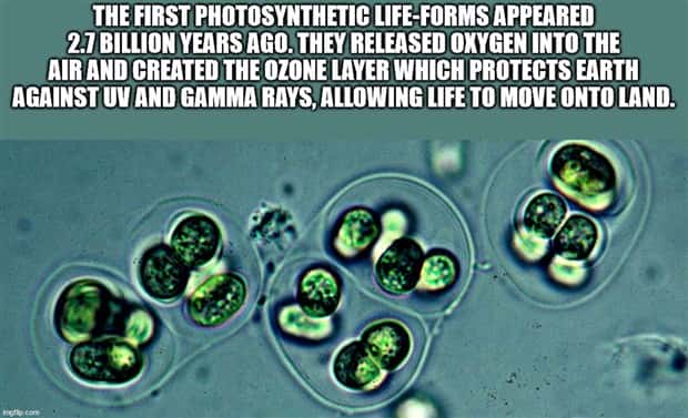 It’s Time for Some Cool and Interesting Facts #403 (24 photos)