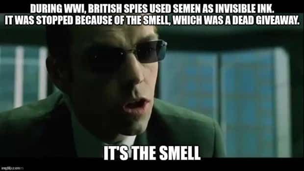 cool facts 19 It’s Time for Some Cool and Interesting Facts #402 (23 photos)