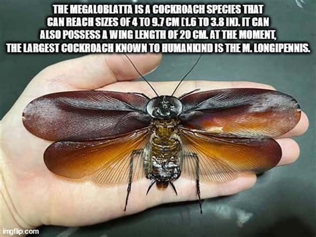 It’s Time for Some Cool and Interesting Facts #403 (24 photos)