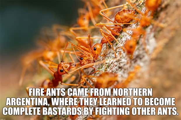 It’s Time for Some Cool and Interesting Facts #403 (24 photos)