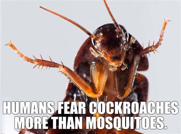 It’s Time for Some Cool and Interesting Facts #403 (24 photos)