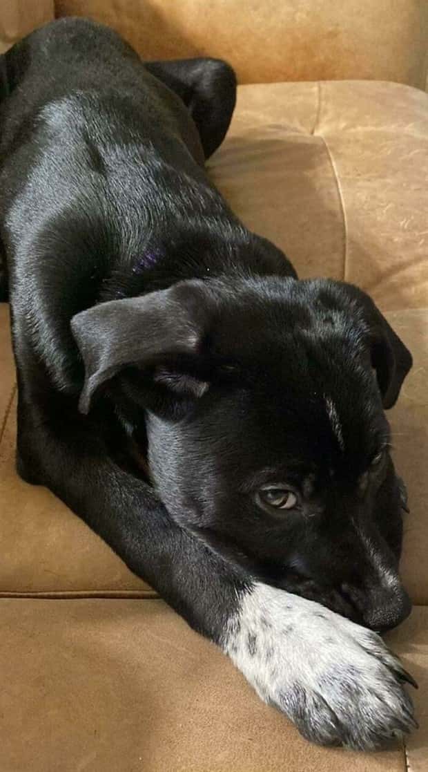 Get Ready for Funny Animals #359 (27 photos)