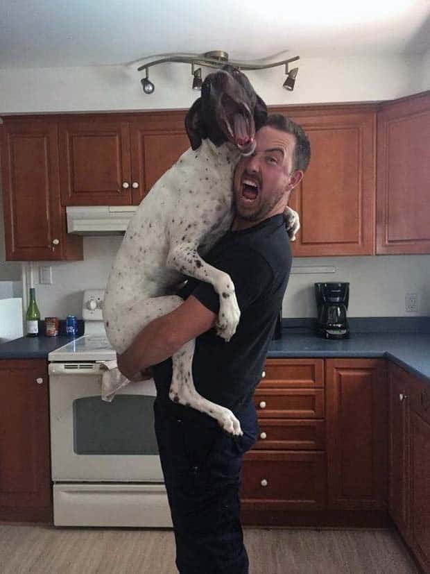 funny animals 11 Get Ready for Funny Animals #358 (28 photos)