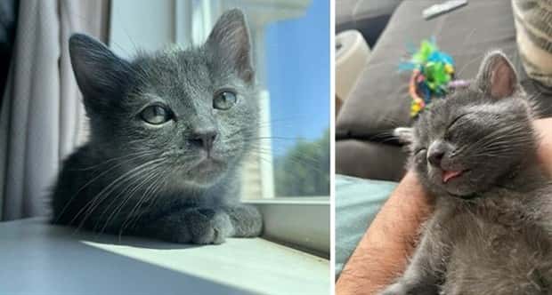 Get Ready for Funny Animals #359 (27 photos)