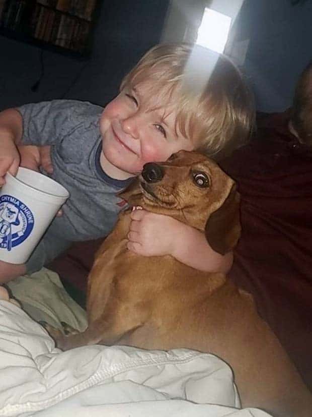 funny animals 13 Get Ready for Funny Animals #358 (28 photos)