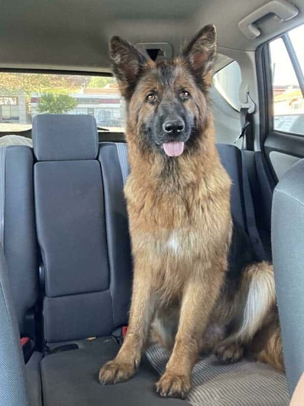 Get Ready for Funny Animals #359 (27 photos)