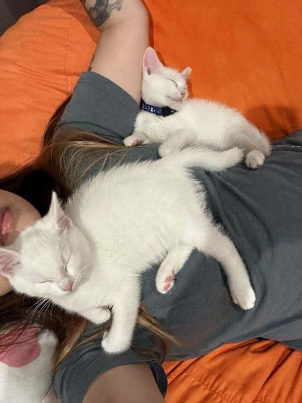 Get Ready for Funny Animals #359 (27 photos)