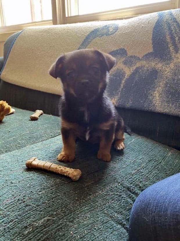 Get Ready for Funny Animals #359 (27 photos)