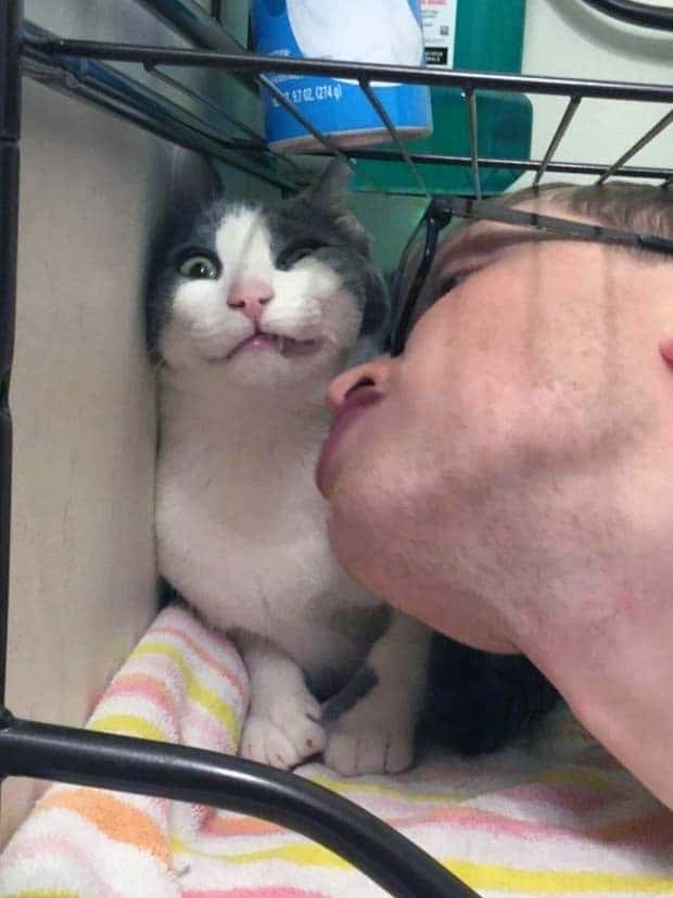 funny animals 24 Get Ready for Funny Animals #358 (28 photos)