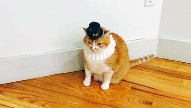 funny animals 25 Get Ready for Funny Animals #358 (28 photos)